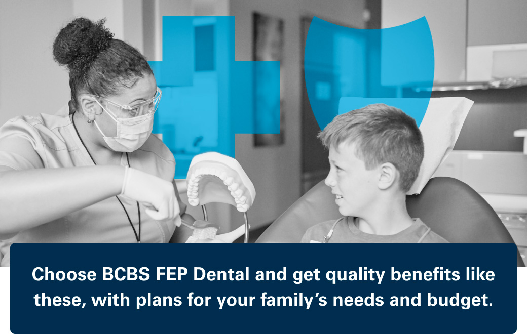 BlueCross. Blue Shield. FEP DENTAL(SM). FEDVIP